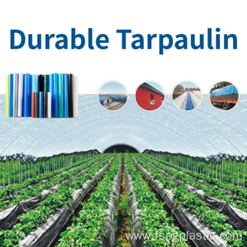 Woven Fabric/Woven Geomembrane for Aquiculture Farming 9341